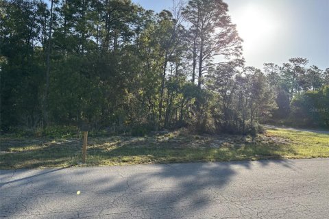 Land in Ocala, Florida № 1720941 - photo 4