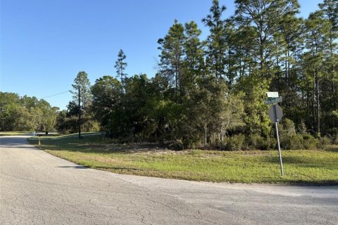 Land in Ocala, Florida № 1720941 - photo 6