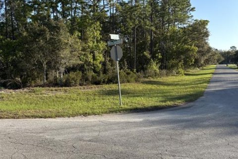 Land in Ocala, Florida № 1720941 - photo 2