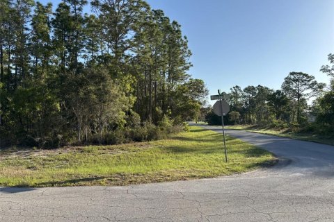 Land in Ocala, Florida № 1720941 - photo 3