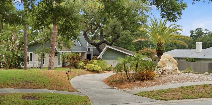 House in Palm Harbor, Florida 4 bedrooms, 283.17 sq.m. № 2258903