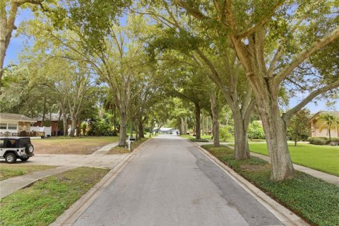 House in Palm Harbor, Florida 4 bedrooms, 283.17 sq.m. № 2258903 - photo 8