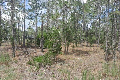Land in Williston, Florida № 2161395 - photo 3