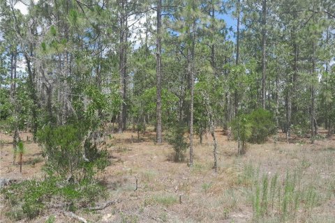 Land in Williston, Florida № 2161395