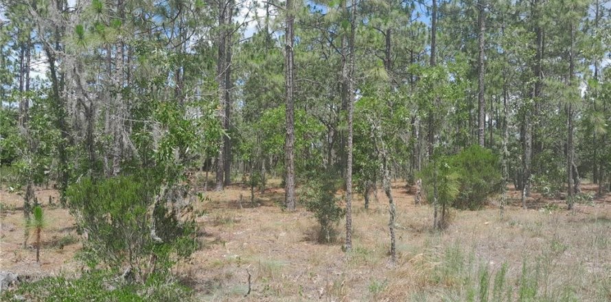 Land in Williston, Florida № 2161395