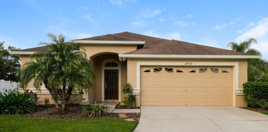 Villa ou maison à Land O' Lakes, Floride 3 chambres, 158.12 m2 № 2416576