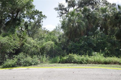 Terreno en venta en Brandon, Florida № 1751095 - foto 5