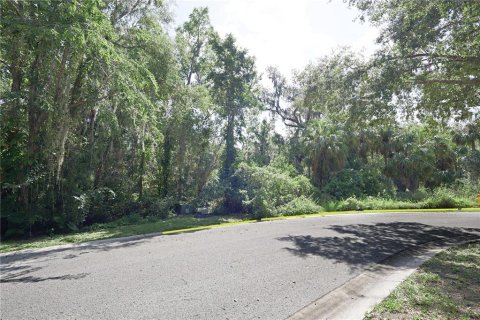 Terreno en venta en Brandon, Florida № 1751095 - foto 4