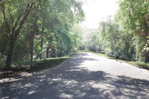 Terreno en venta en Brandon, Florida № 1751095 - foto 6