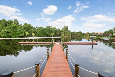 House in Tampa, Florida 3 bedrooms, 164.99 sq.m. № 1653833 - photo 30