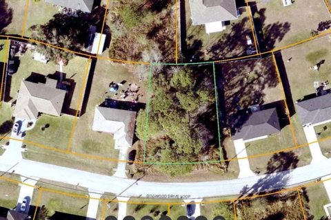 Terrain à Ocala, Floride № 2165080
