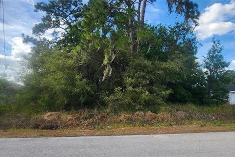 Terrain à vendre à Ocala, Floride № 2165080 - photo 6