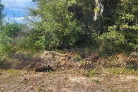 Terrain à vendre à Ocala, Floride № 2165080 - photo 7