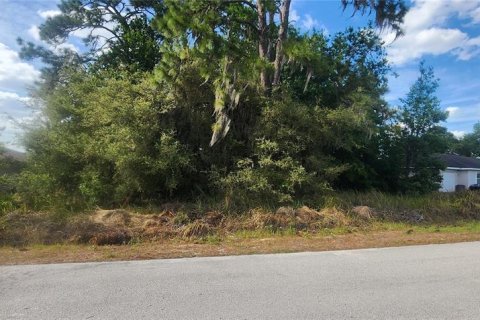 Terrain à vendre à Ocala, Floride № 2165080 - photo 5