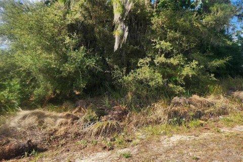Terrain à vendre à Ocala, Floride № 2165080 - photo 8