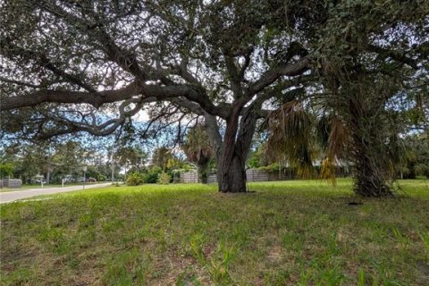 Land in Saint Petersburg, Florida № 1918317 - photo 8