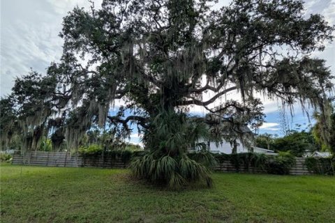 Land in Saint Petersburg, Florida № 1918317 - photo 6