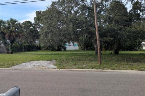 Land in Saint Petersburg, Florida № 1918317 - photo 2