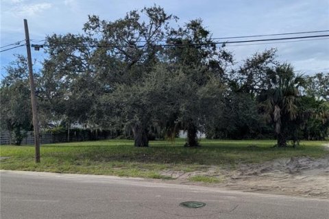 Land in Saint Petersburg, Florida № 1918317 - photo 1