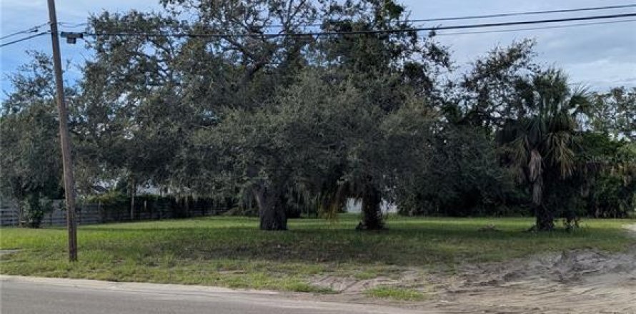 Terrain à Saint Petersburg, Floride № 1918317