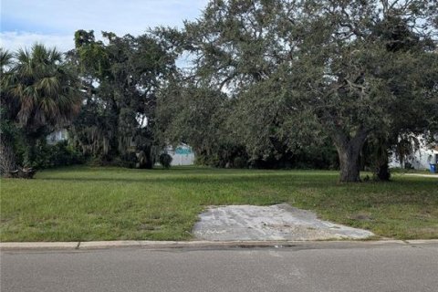 Land in Saint Petersburg, Florida № 1918317 - photo 3