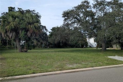 Land in Saint Petersburg, Florida № 1918317 - photo 4