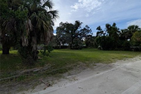 Land in Saint Petersburg, Florida № 1918317 - photo 9