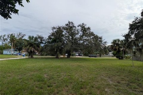Land in Saint Petersburg, Florida № 1918317 - photo 7