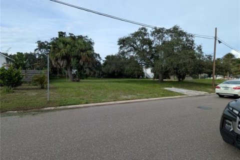 Land in Saint Petersburg, Florida № 1918317 - photo 5