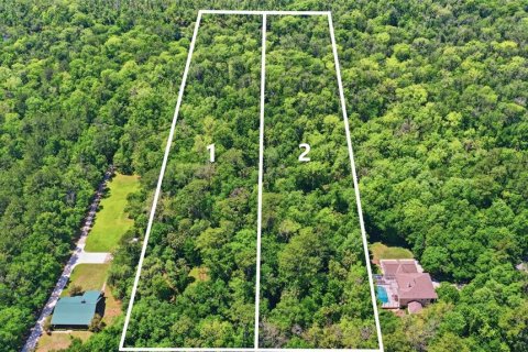 Terrain à Longwood, Floride № 2139884