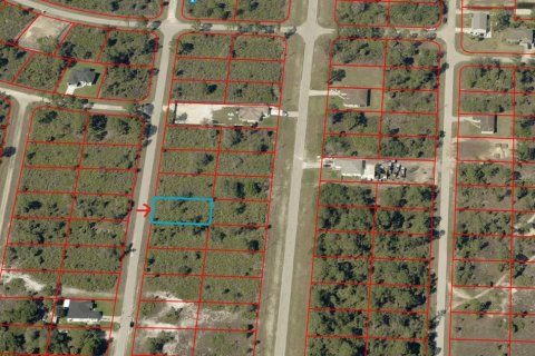 Land in Lehigh Acres, Florida № 2162855 - photo 3