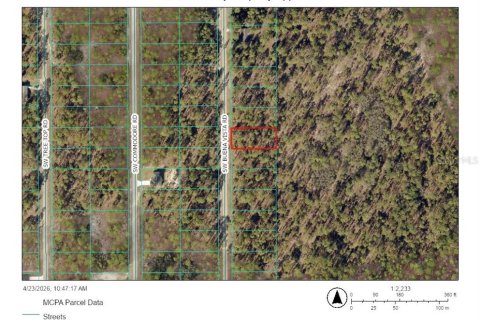 Land in Dunnellon, Florida № 2159362 - photo 2