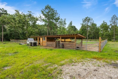 Land in Keystone Heights, Florida № 2226865 - photo 22