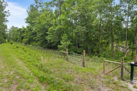 Land in Keystone Heights, Florida № 2226865 - photo 13