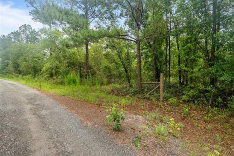 Land in Keystone Heights, Florida № 2226865 - photo 15