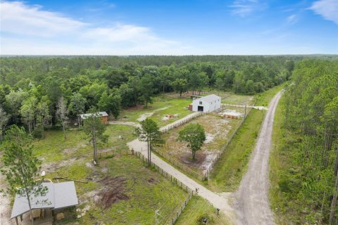 Land in Keystone Heights, Florida № 2226865 - photo 2