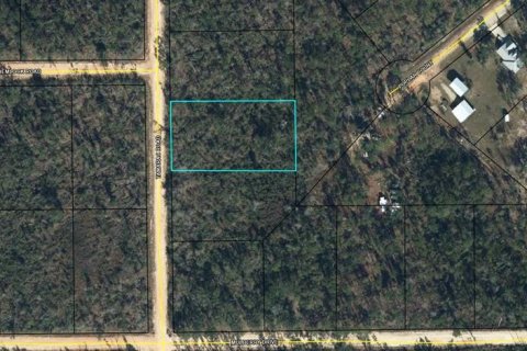 Land in Marianna, Florida № 2160272 - photo 2
