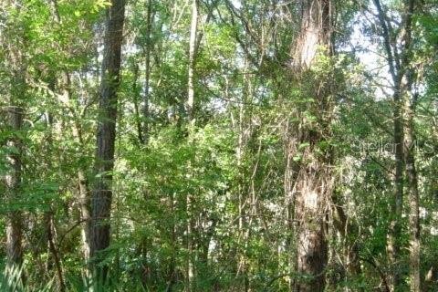 Land in Marianna, Florida № 2160272 - photo 8
