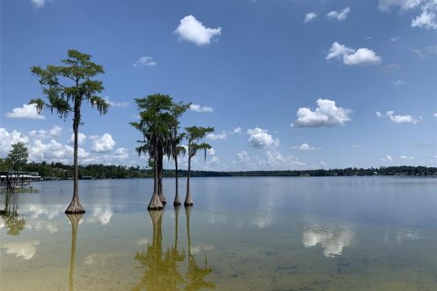 Land in Marianna, Florida № 2160272 - photo 4