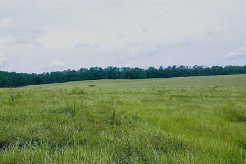 Terrain à vendre à Dade City, Floride № 1805677 - photo 10