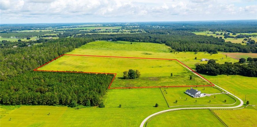 Terreno en Dade City, Florida № 1805677