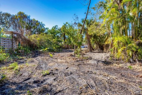Land in Sarasota, Florida № 1540523 - photo 9