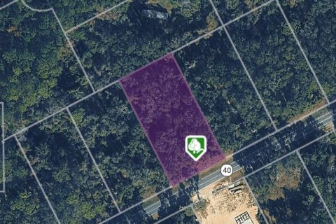 Land in Ocala, Florida № 2093951 - photo 5