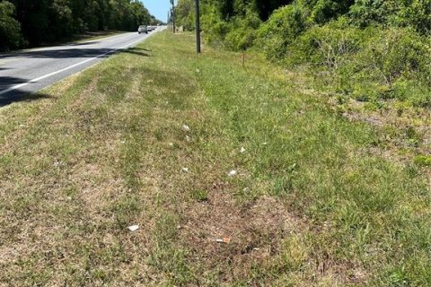 Terreno en venta en Ocala, Florida № 2093951 - foto 2