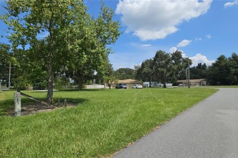 Land in Kissimmee, Florida № 1878297 - photo 3