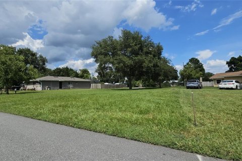 Land in Kissimmee, Florida № 1878297 - photo 2