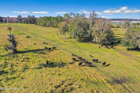 Land in East Palatka, Florida № 865803 - photo 1