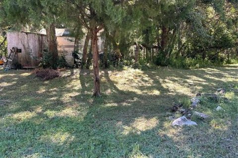 Land in New Port Richey, Florida № 2160761 - photo 2