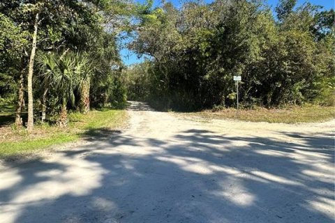 Land in New Port Richey, Florida № 2160761 - photo 5