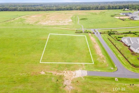 Terreno en venta en Archer, Florida № 1743745 - foto 2